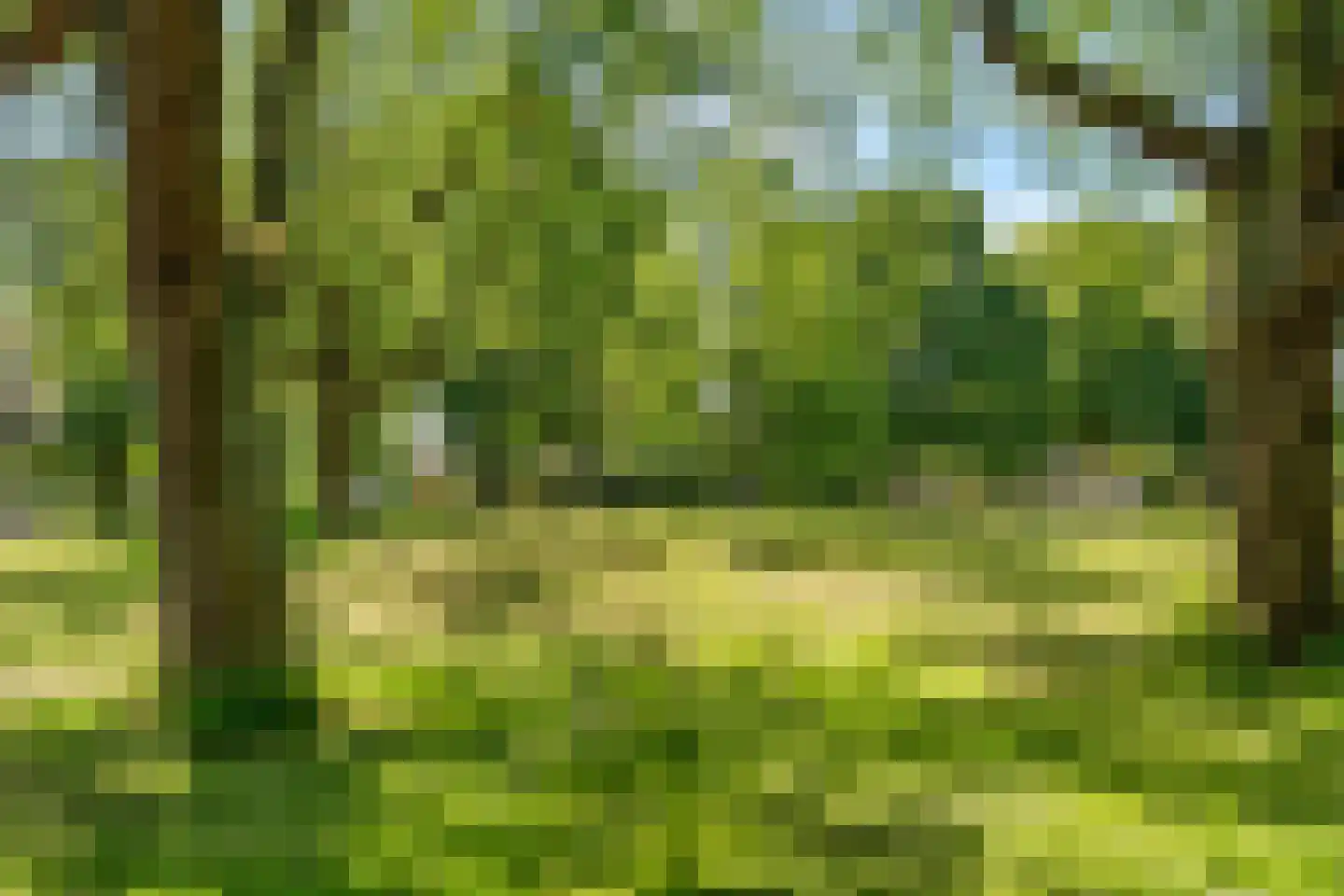 Sanderijnhof 6 Amersfoort thumbnail 42
