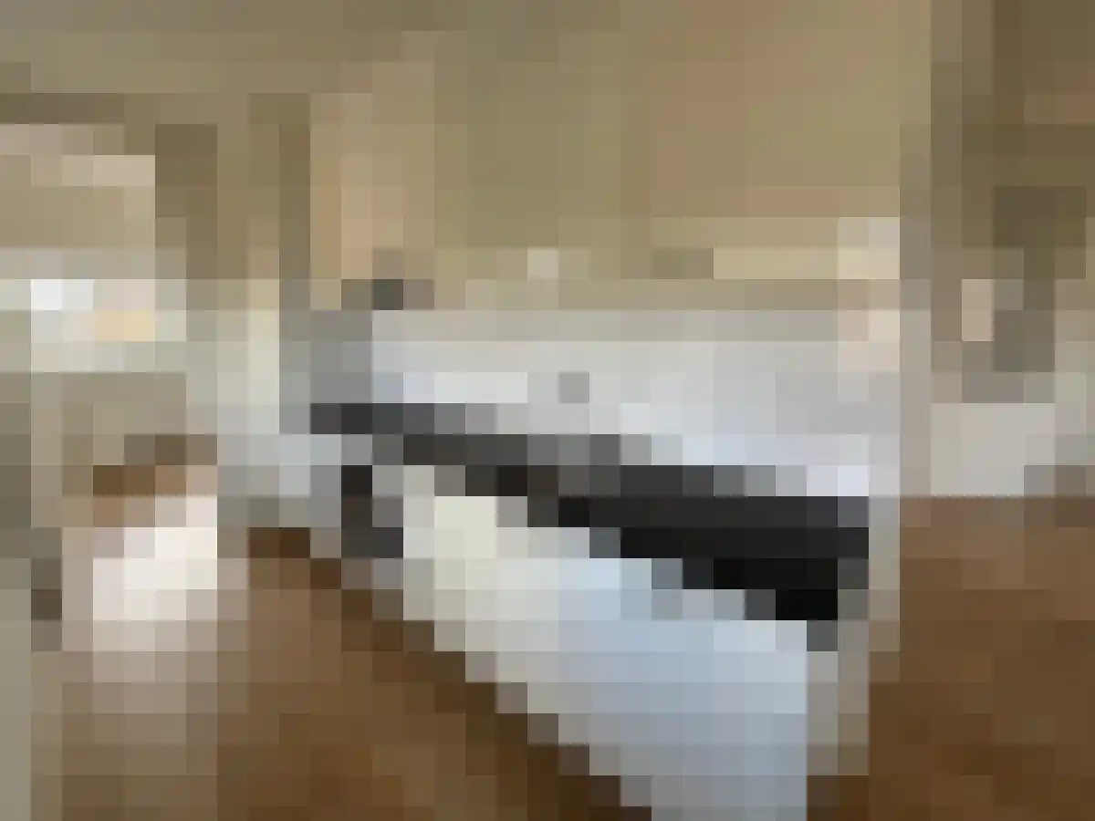 Sanderijnstraat 19 4 Amsterdam thumbnail 6