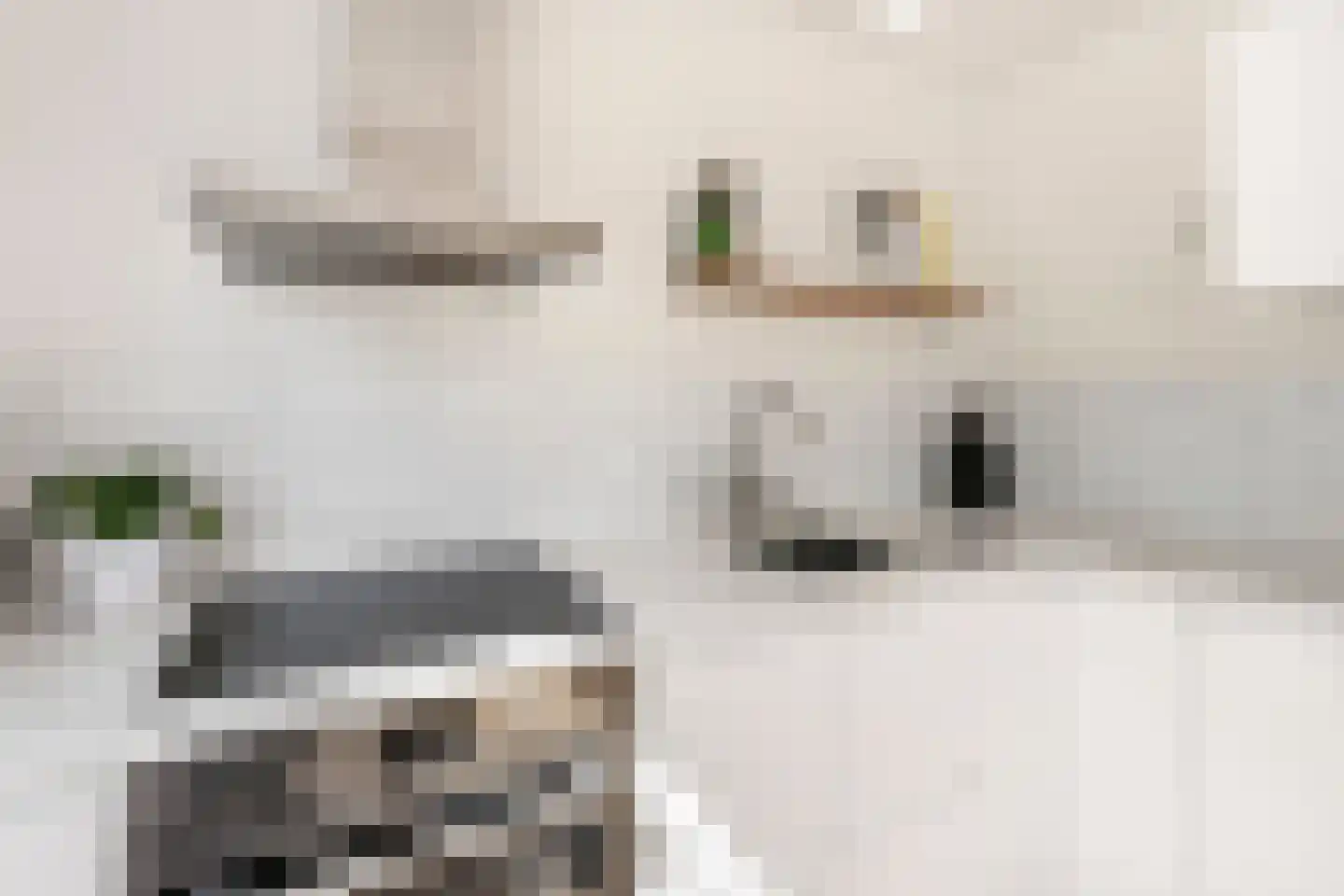 Sanderijnstraat 24 1 Amsterdam thumbnail 13