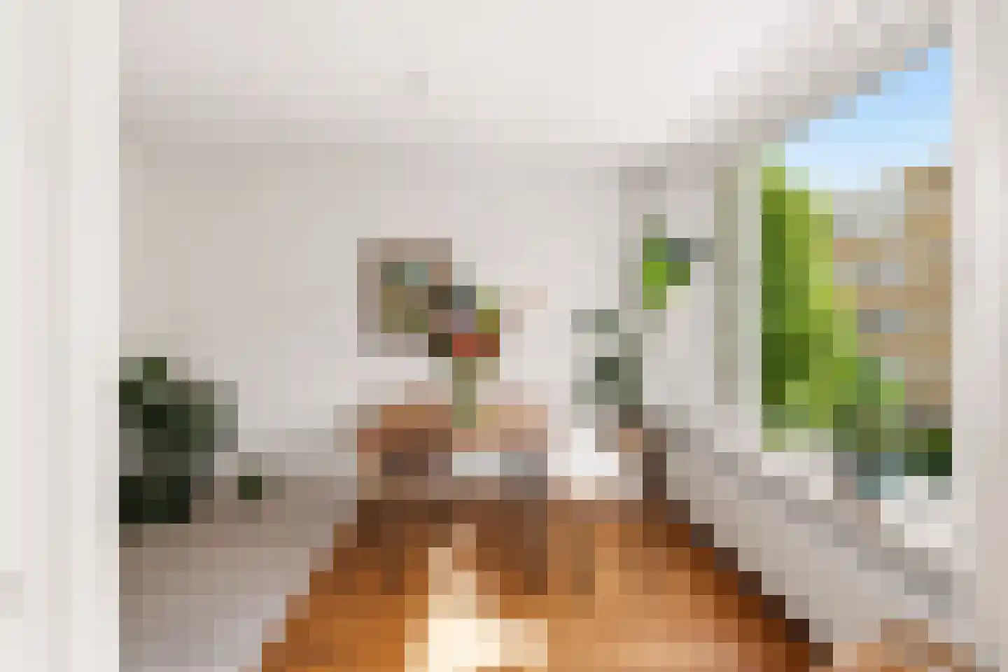 Sanderijnstraat 24 1 Amsterdam thumbnail 8