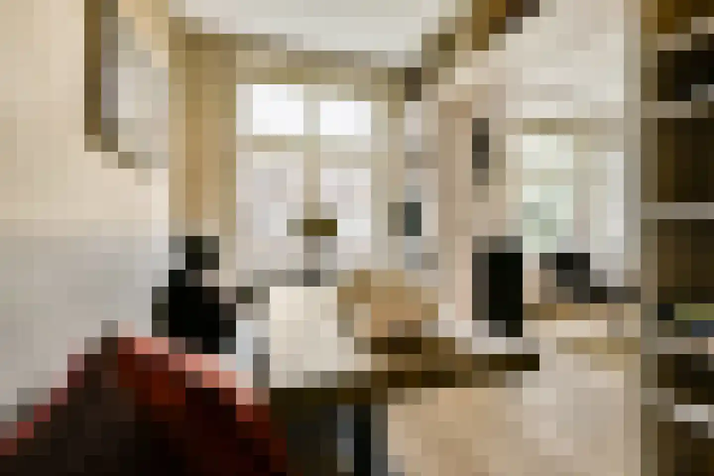 Sanderijnstraat 29 3 Amsterdam thumbnail 10