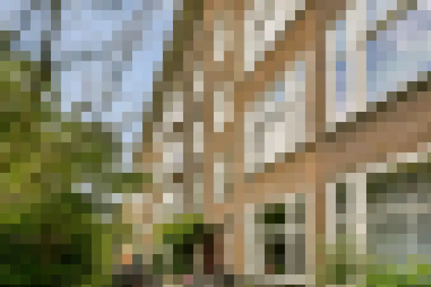 Sanderijnstraat 29 3 Amsterdam thumbnail 21