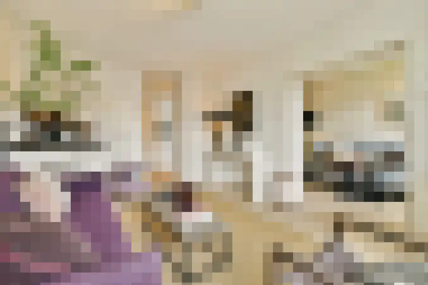 Sanderijnstraat 29 3 Amsterdam thumbnail 5