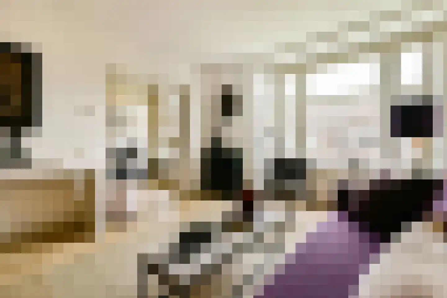 Sanderijnstraat 29 3 Amsterdam thumbnail 8