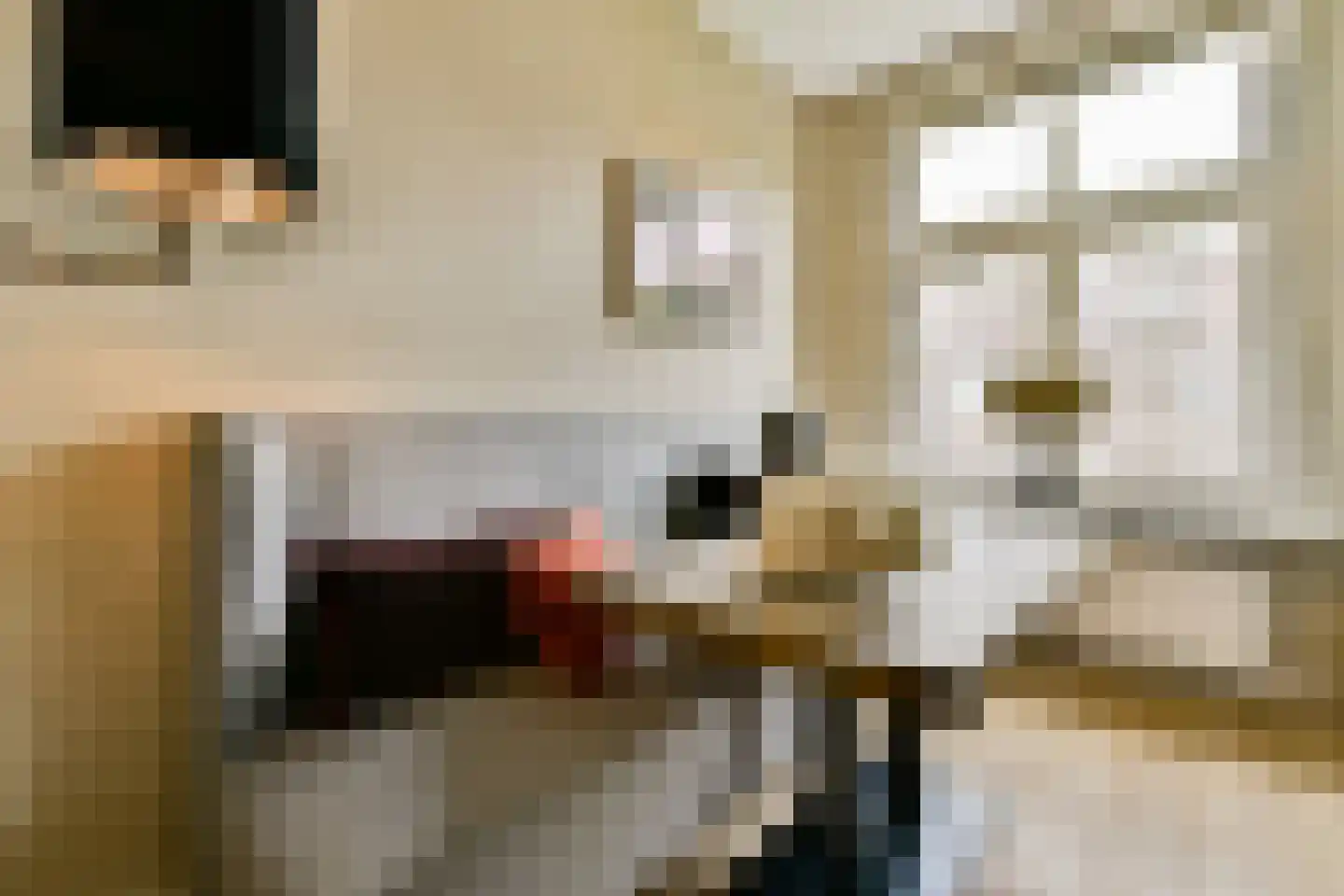 Sanderijnstraat 29 3 Amsterdam thumbnail 9