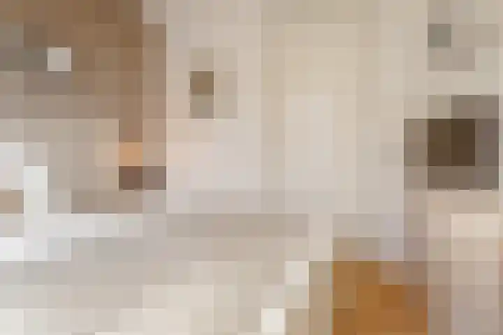 Sanderijnstraat 35 2 Amsterdam thumbnail 15