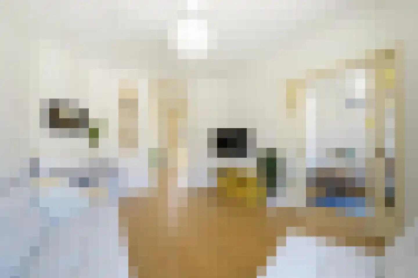 Sanderijnstraat 37 1 Amsterdam thumbnail 4