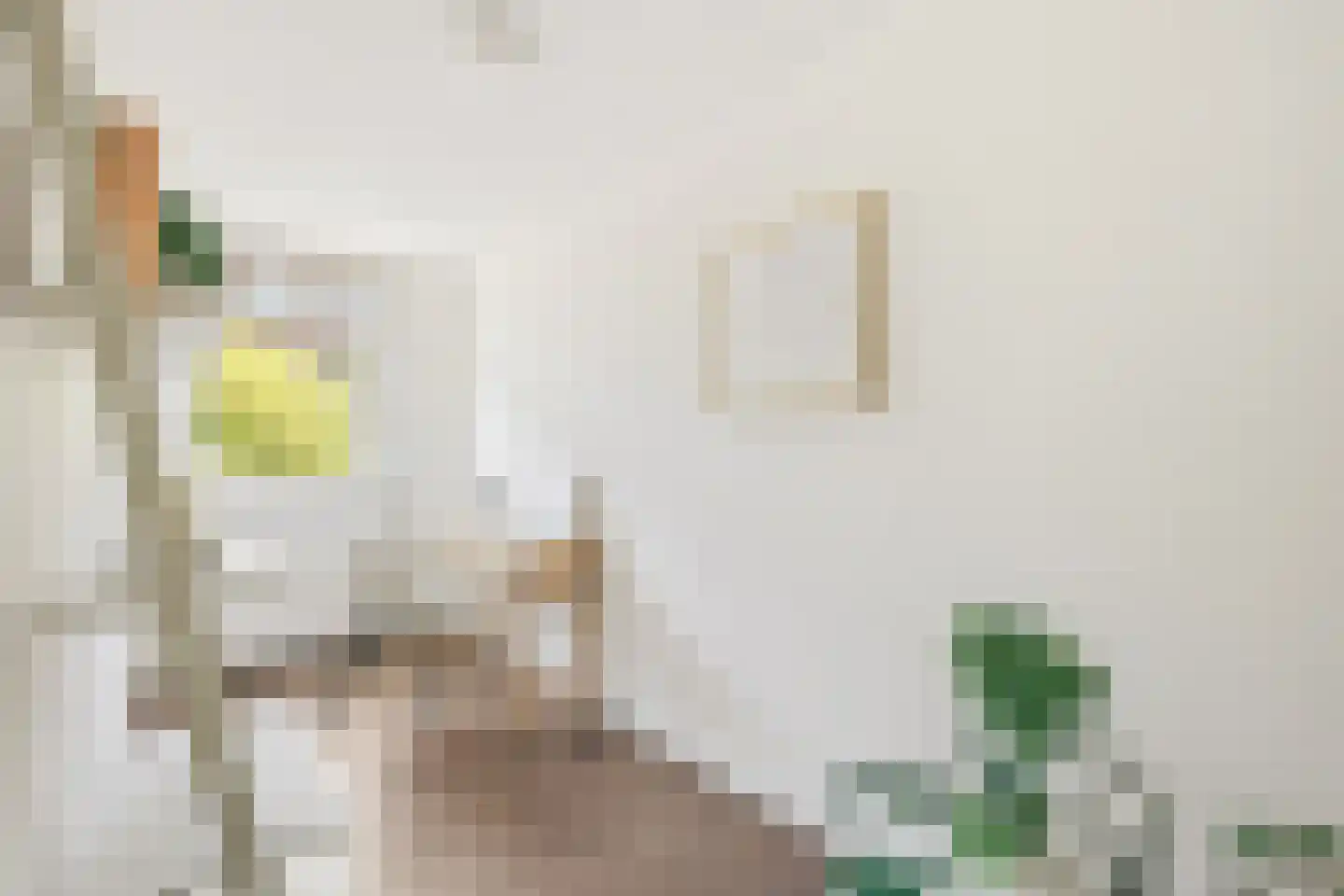 Sanderijnstraat 38 1 Amsterdam thumbnail 19