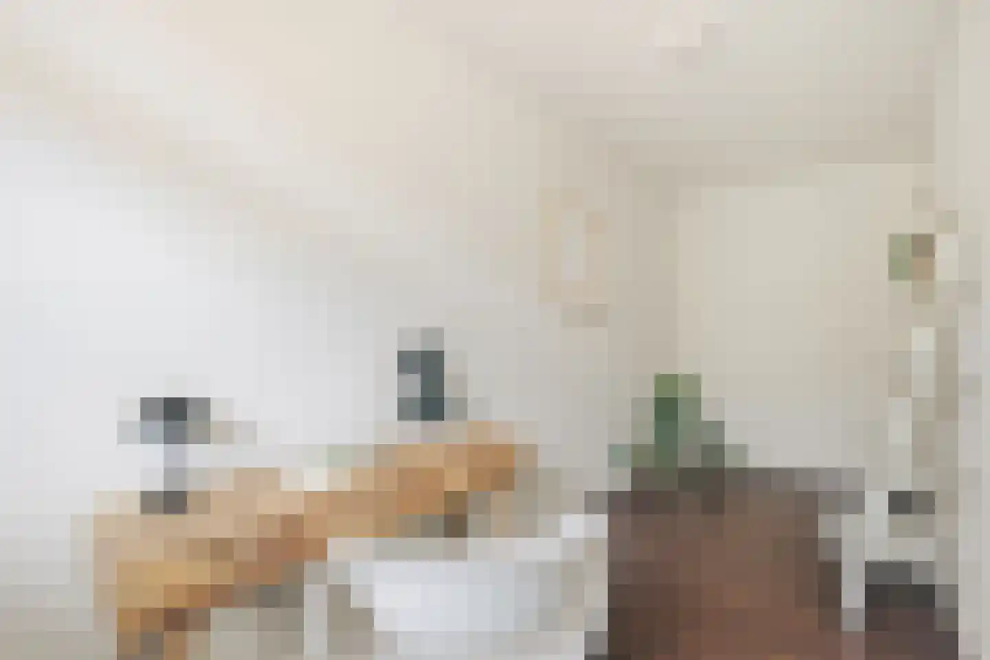 Sanderijnstraat 38 1 Amsterdam thumbnail 20