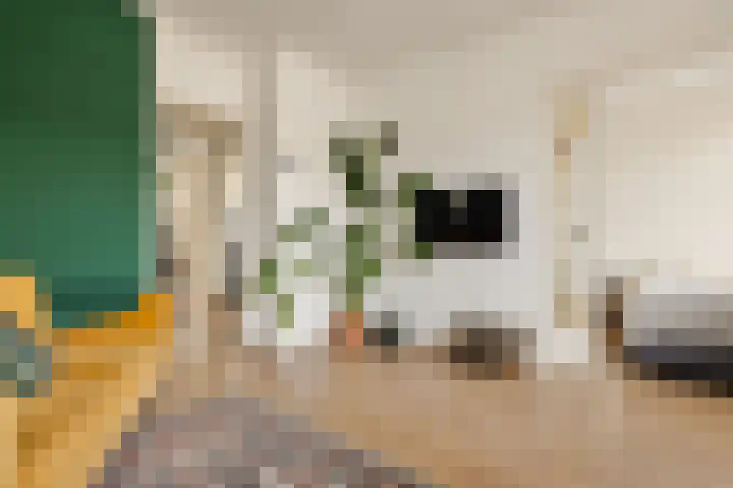 Sanderijnstraat 41 3 Amsterdam thumbnail 8