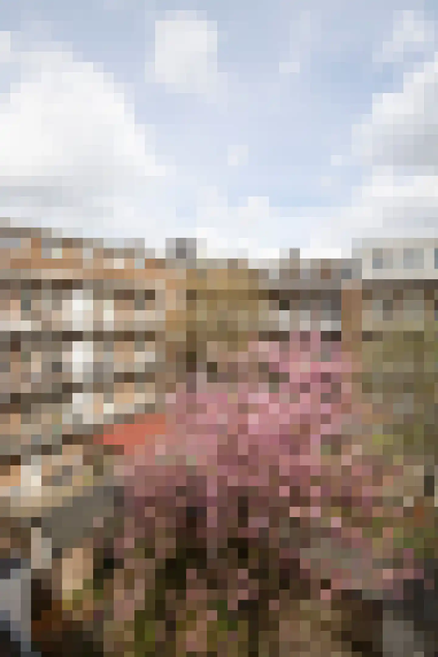 Sanderijnstraat 54 3 Amsterdam thumbnail 22