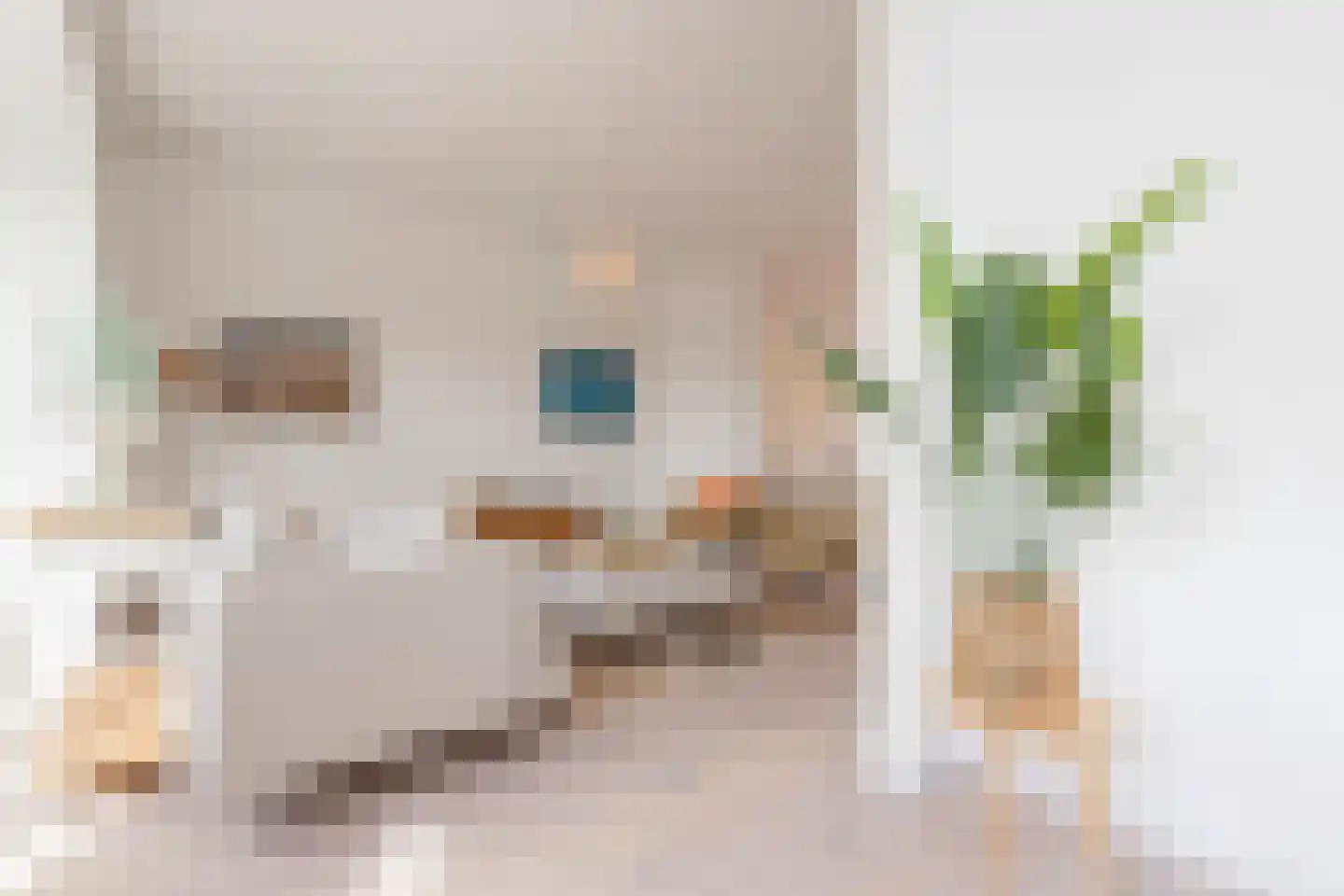 Sanderijnstraat 54 3 Amsterdam thumbnail 9
