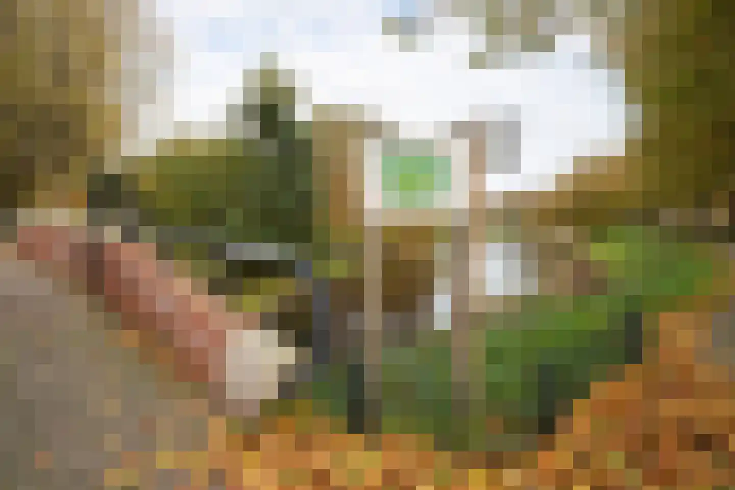 Sanderijnstraat 54 H Amsterdam thumbnail 56