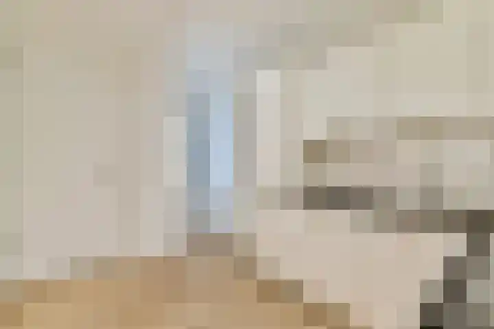 Sanderijnstraat 60 Amsterdam thumbnail 6