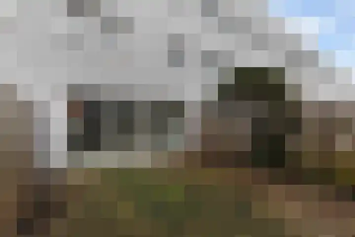 Sandersdijk 5 Den Haag thumbnail 8