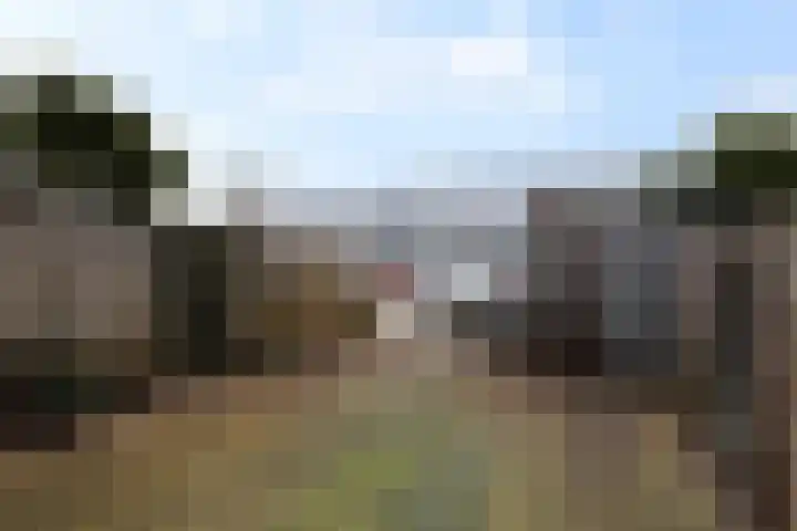 Sandersdijk 5 Den Haag thumbnail 9