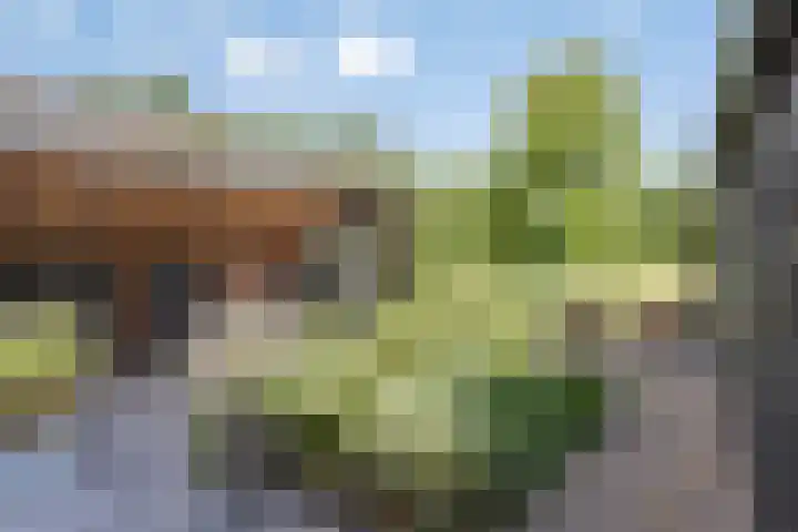 Sandershoeve 18 Veghel thumbnail 22