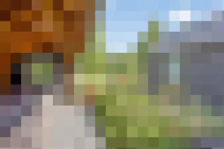 Sandershoeve 18 Veghel thumbnail 23
