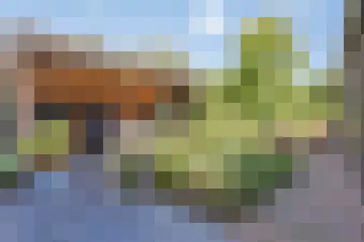 Sandershoeve 18 Veghel thumbnail 24