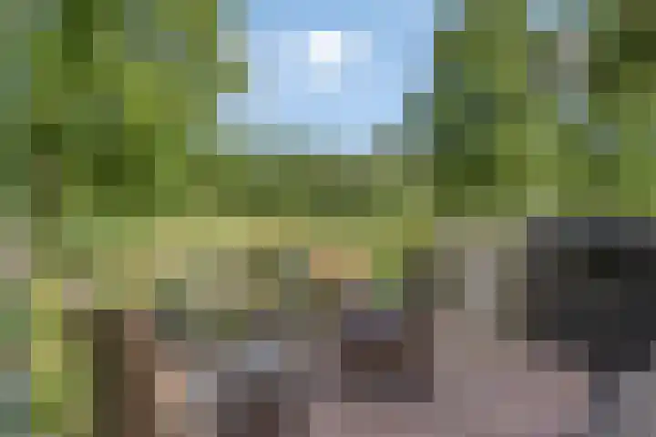 Sandershoeve 18 Veghel thumbnail 26