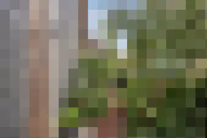 Sandershoeve 18 Veghel thumbnail 27