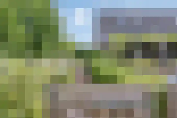 Sandershoeve 18 Veghel thumbnail 28