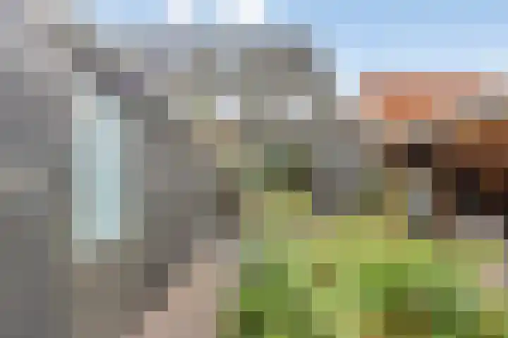 Sandershoeve 18 Veghel thumbnail 29