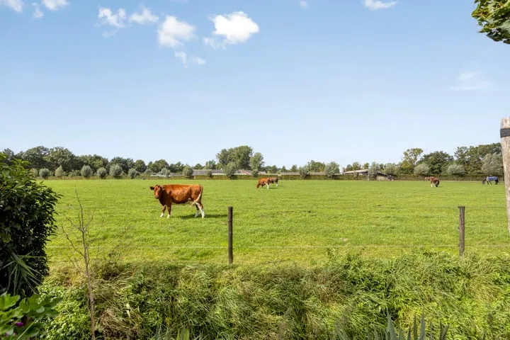 Sandershoeve 18 Veghel thumbnail 31