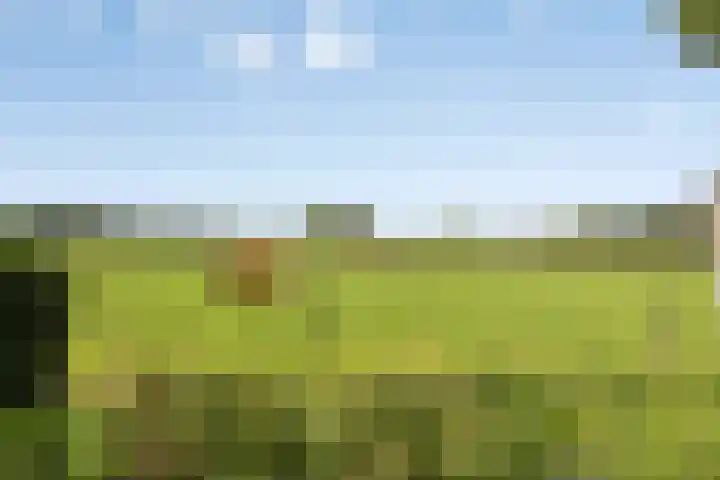 Sandershoeve 18 Veghel thumbnail 31