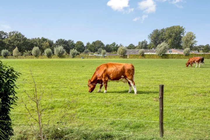 Sandershoeve 18 Veghel thumbnail 32