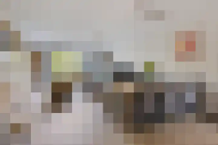 Sandershoeve 18 Veghel thumbnail 5
