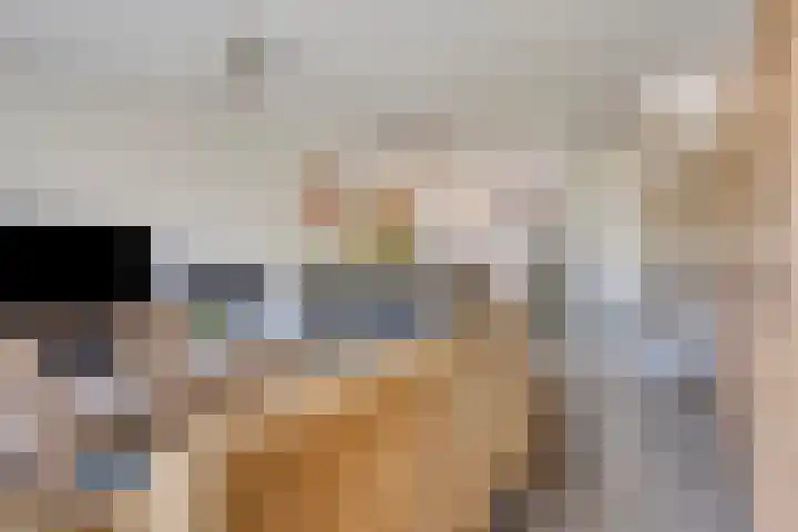 Sandershoeve 18 Veghel thumbnail 8