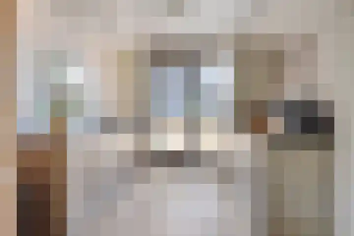 Sandershoeve 18 Veghel thumbnail 9