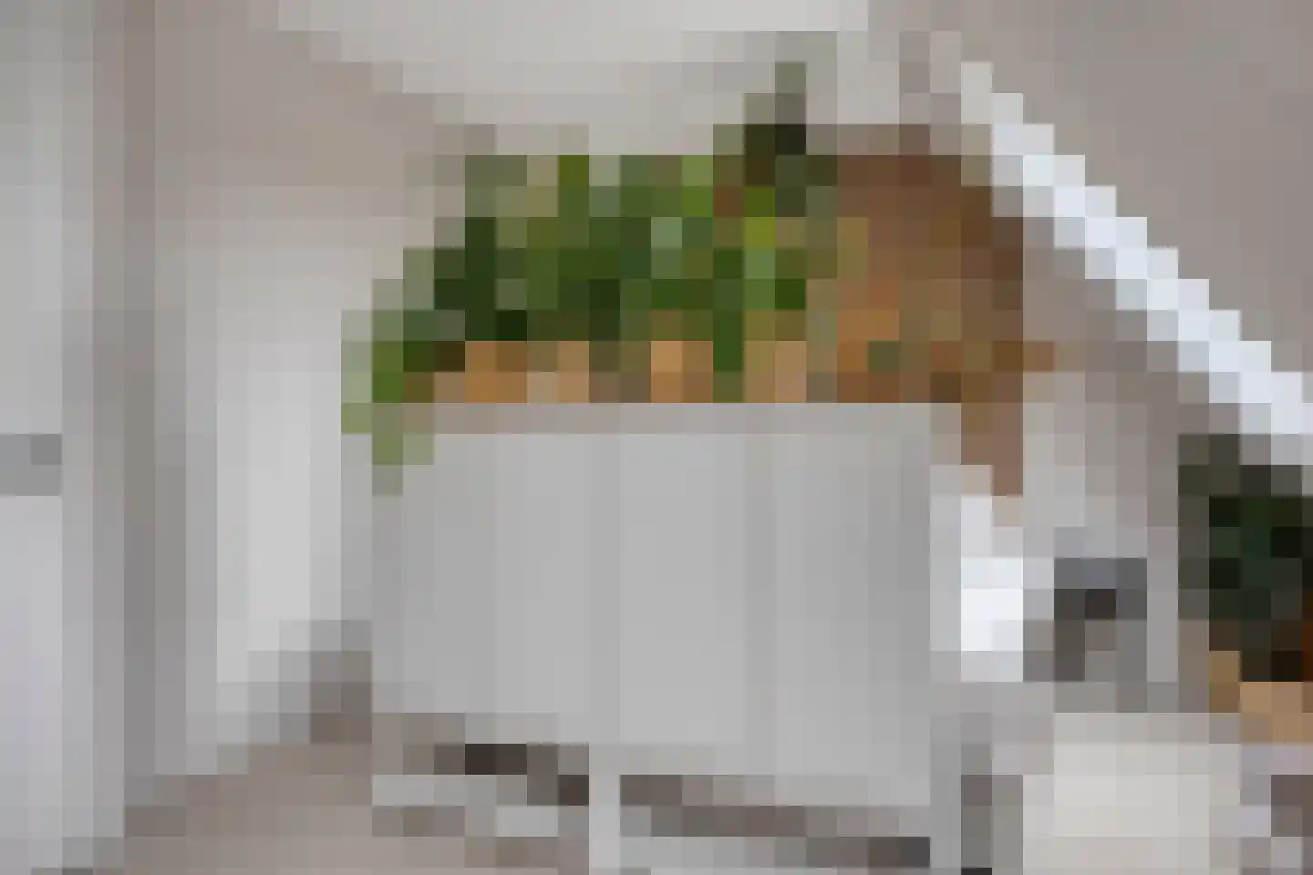 Sandershoeve 20 Veghel thumbnail 15