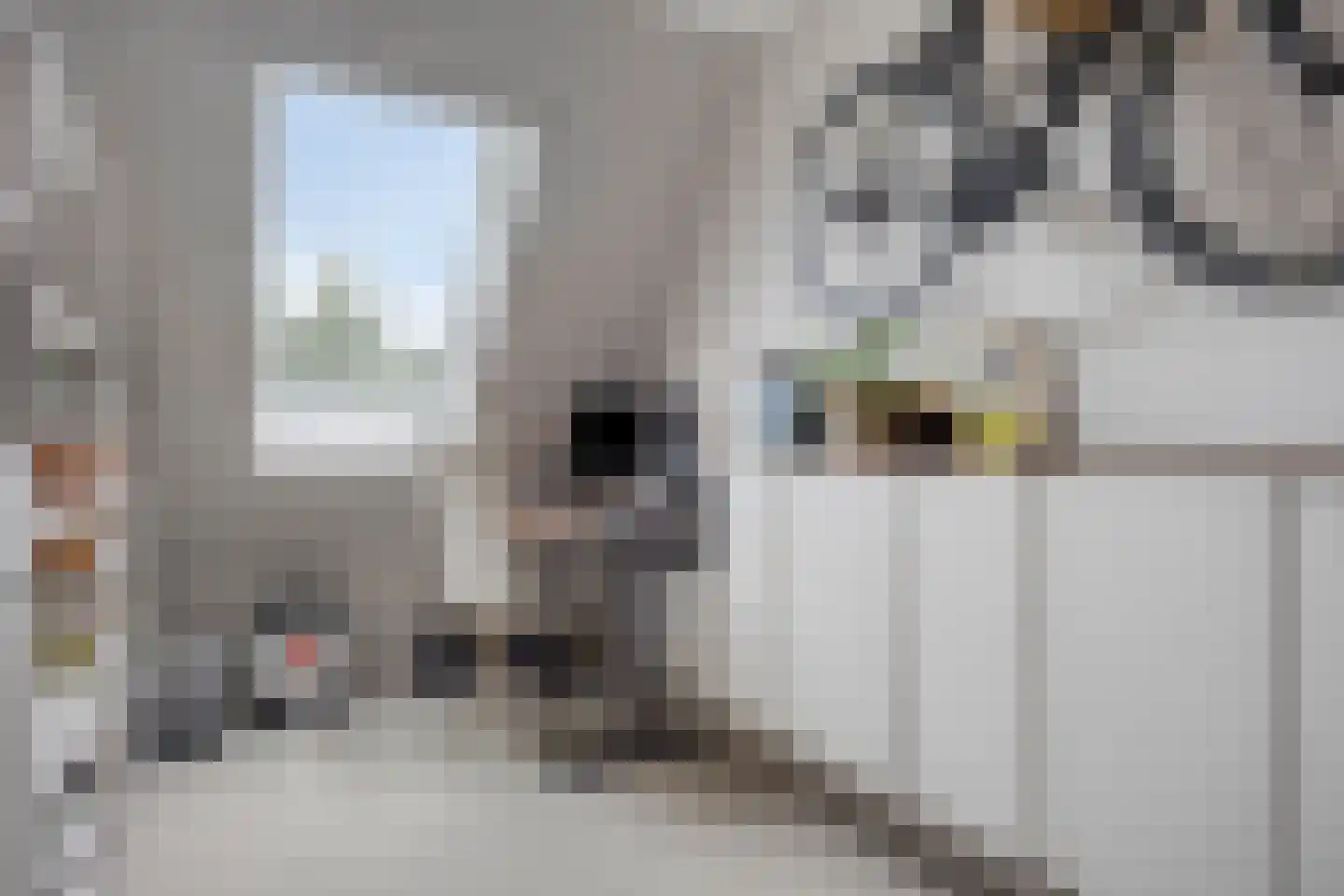 Sandershoeve 20 Veghel thumbnail 17