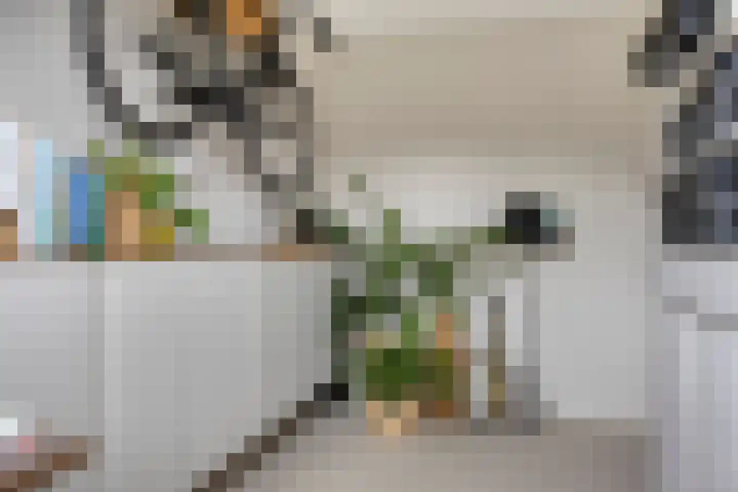 Sandershoeve 20 Veghel thumbnail 18