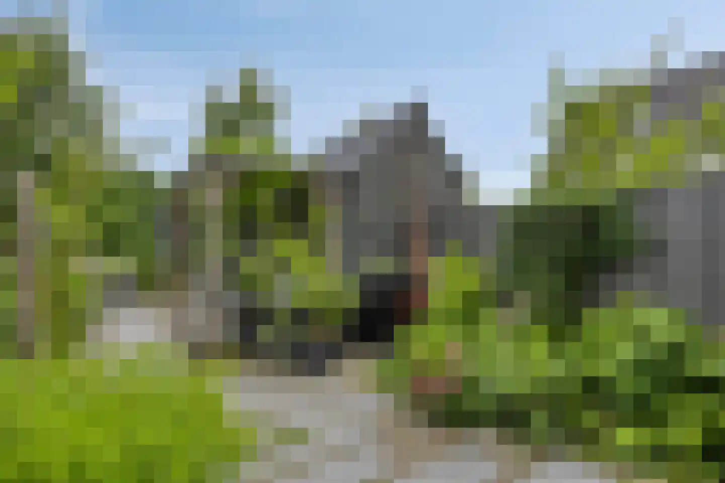 Sandershoeve 20 Veghel thumbnail 23