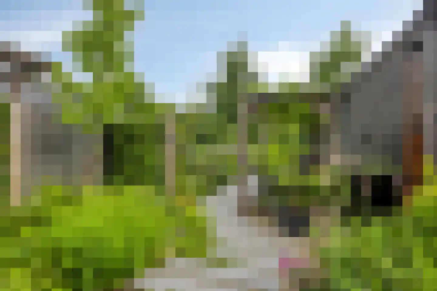 Sandershoeve 20 Veghel thumbnail 24
