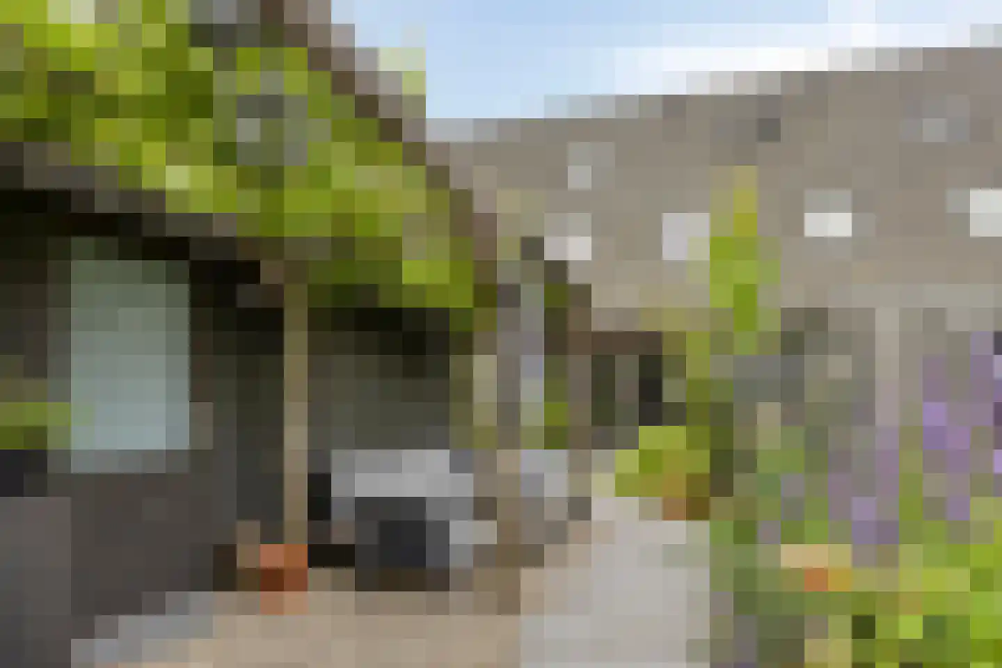 Sandershoeve 20 Veghel thumbnail 26