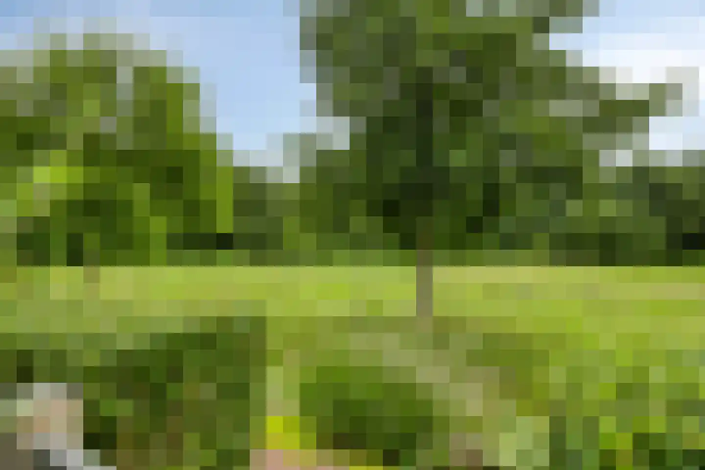 Sandershoeve 20 Veghel thumbnail 29