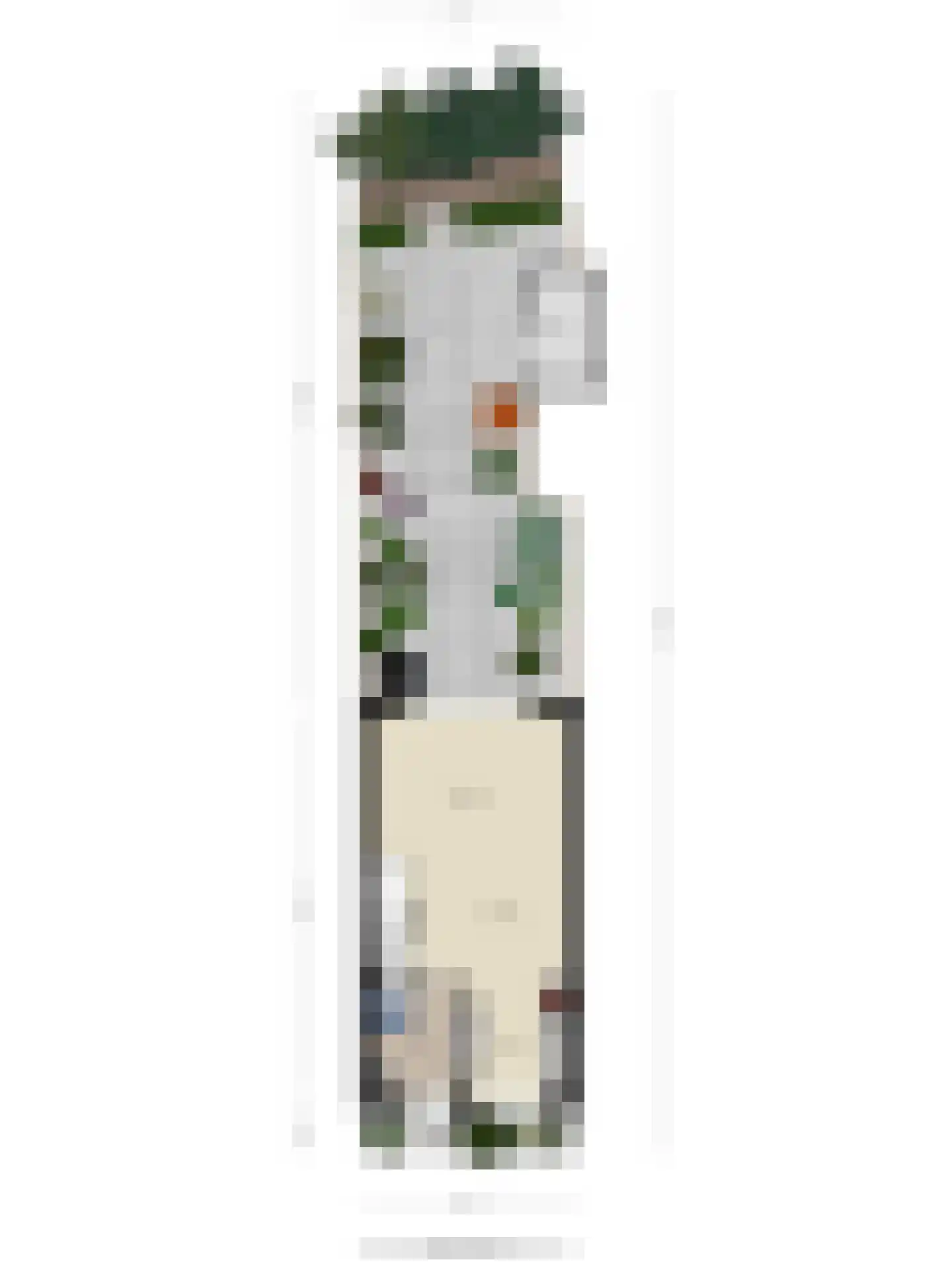 Sandershoeve 20 Veghel thumbnail 31