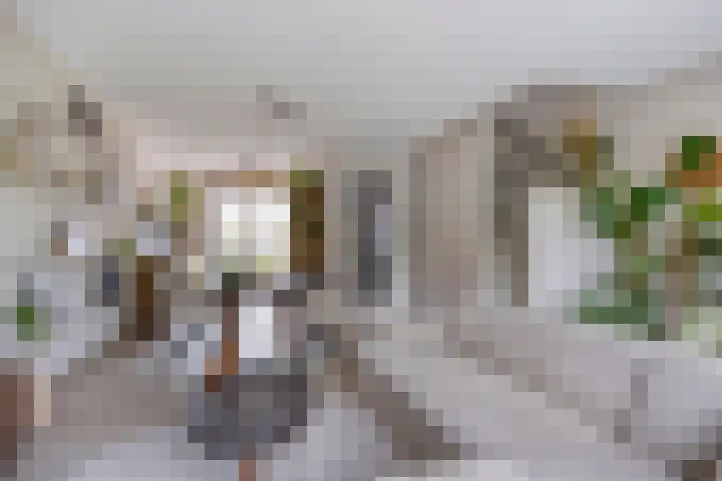 Sandershoeve 20 Veghel thumbnail 9