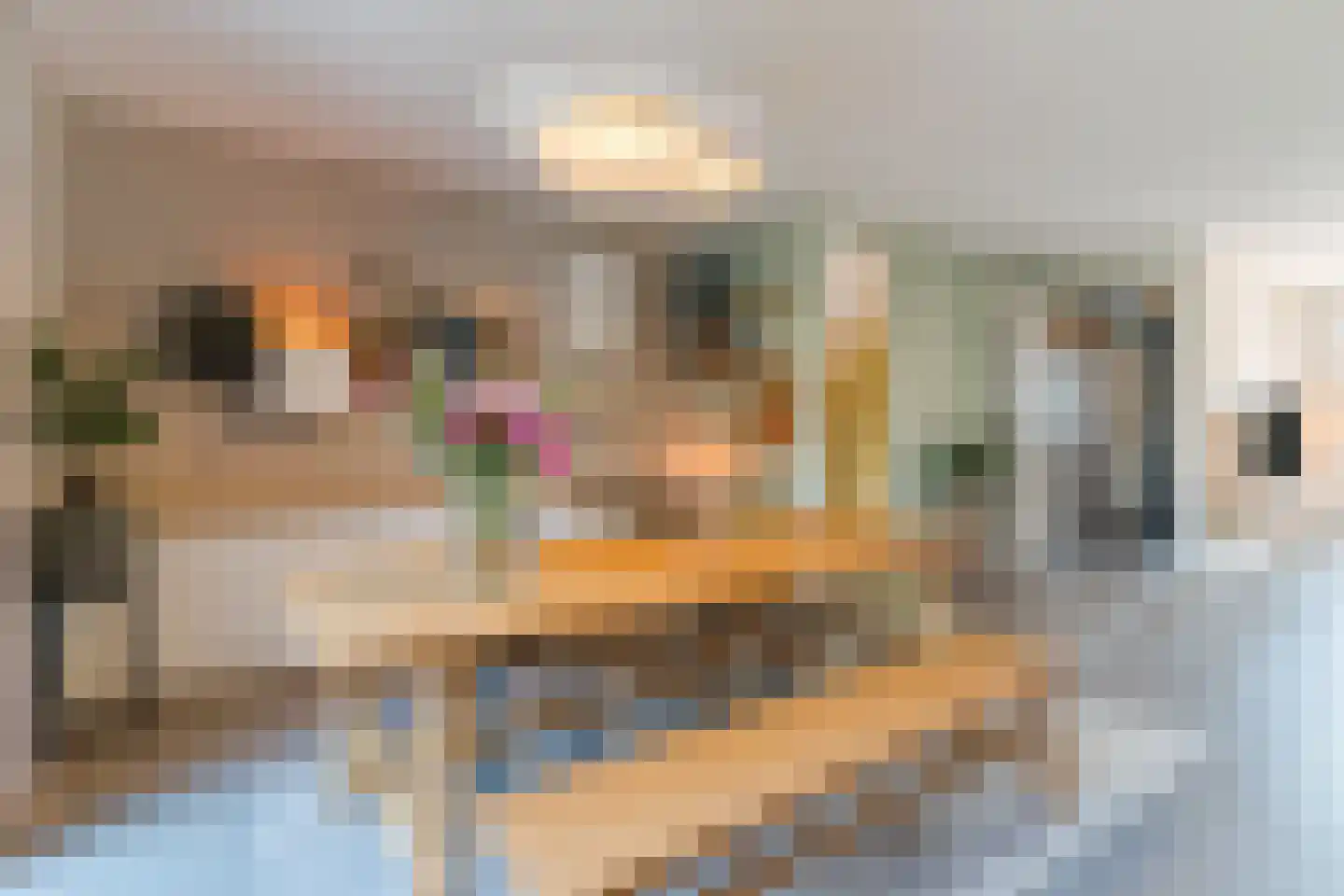 Sandershoeve 23 Veghel thumbnail 19