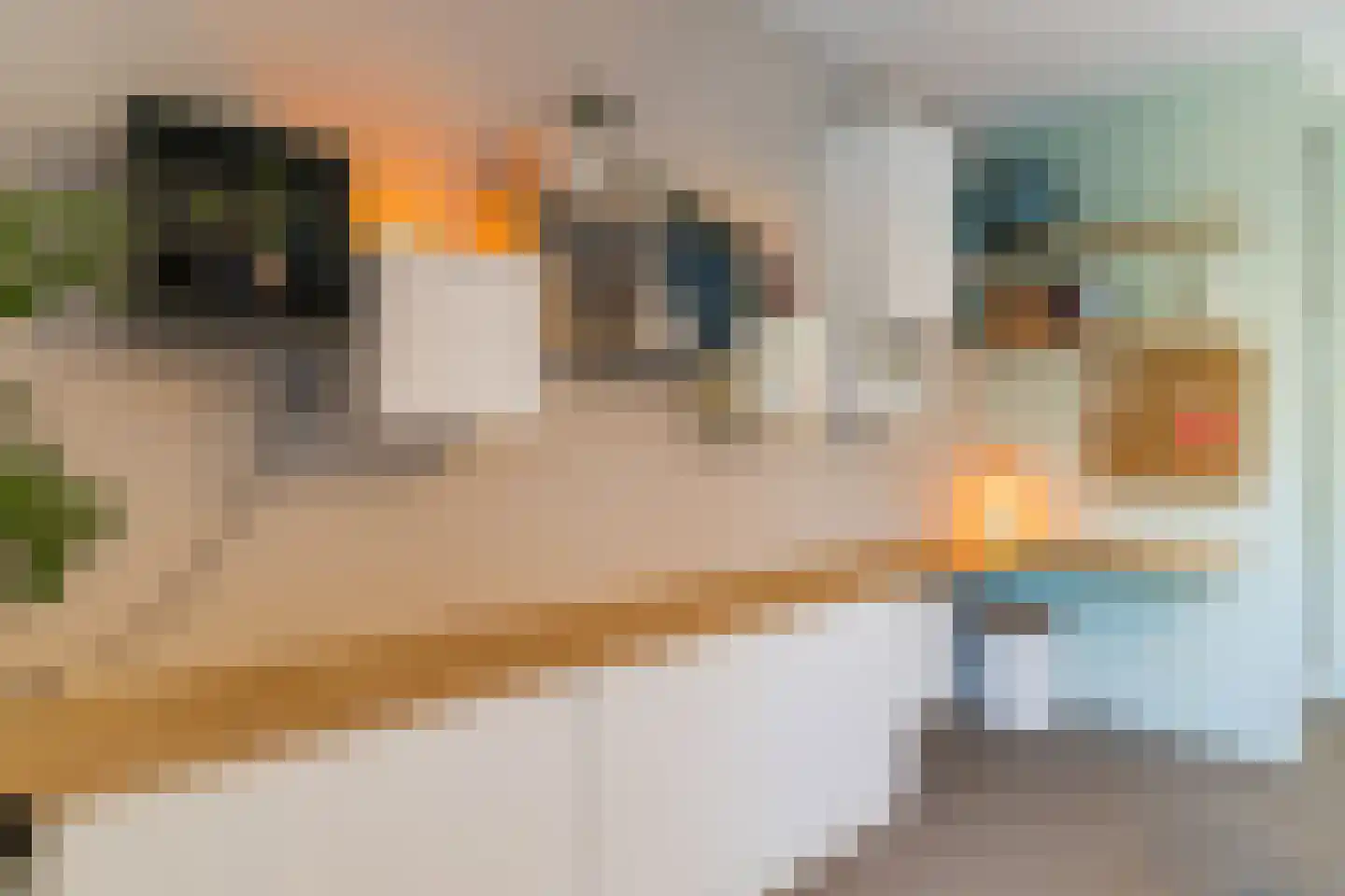Sandershoeve 23 Veghel thumbnail 22
