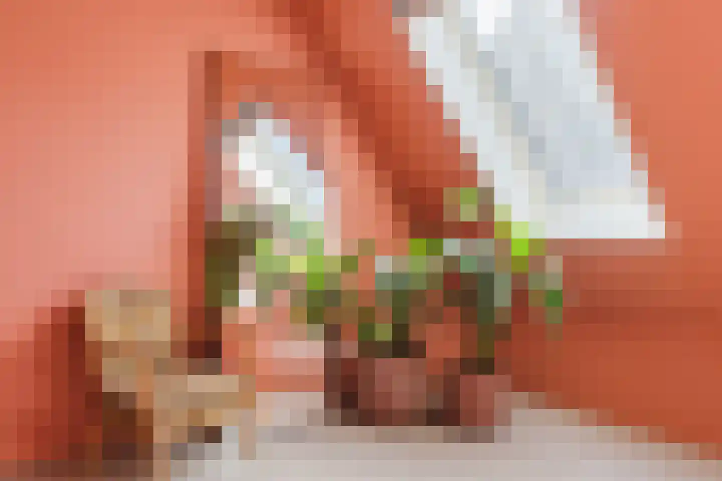 Sandershoeve 23 Veghel thumbnail 32