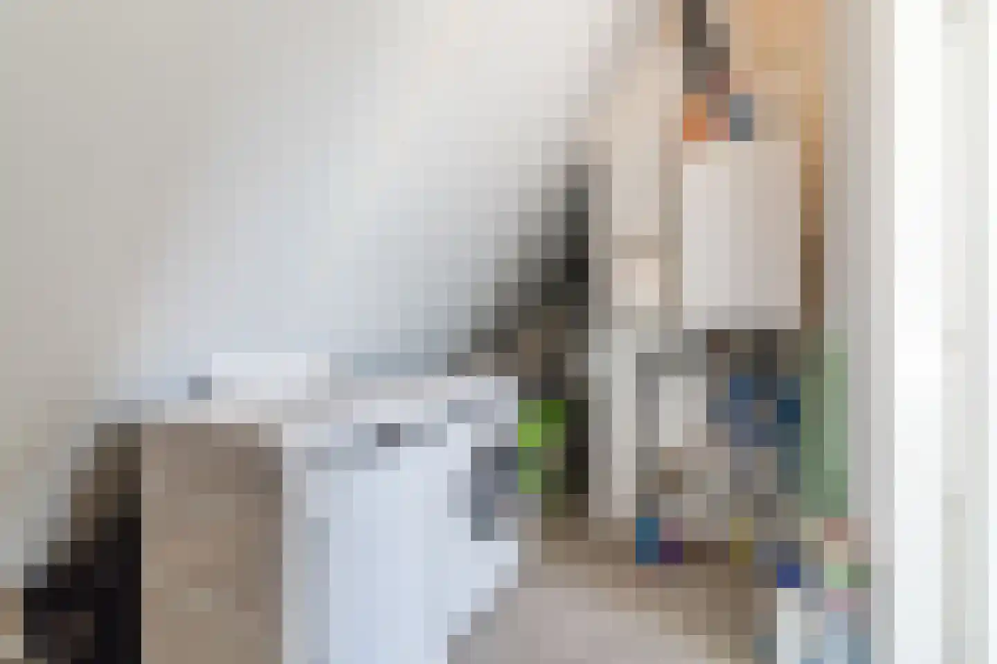 Sandershoeve 23 Veghel thumbnail 45