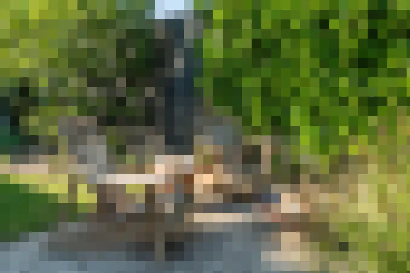 Sandershoeve 23 Veghel thumbnail 53