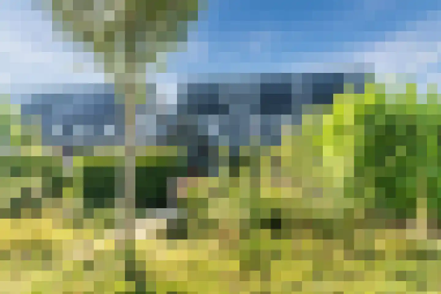 Sandershoeve 23 Veghel thumbnail 56