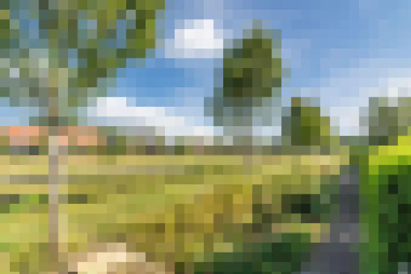 Sandershoeve 23 Veghel thumbnail 57