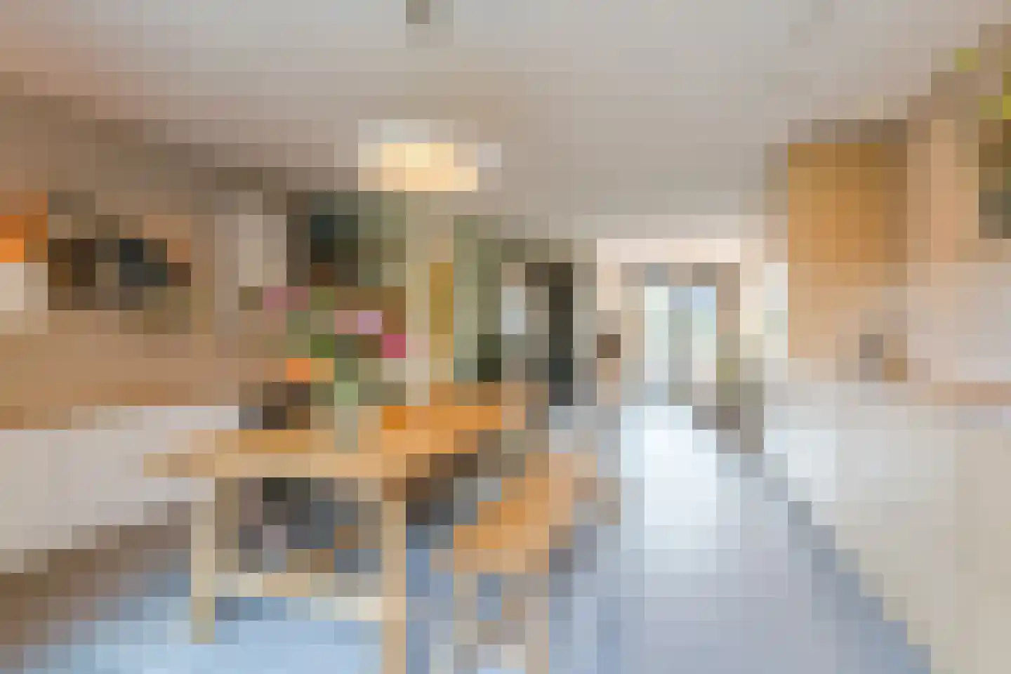 Sandershoeve 23 Veghel thumbnail 6